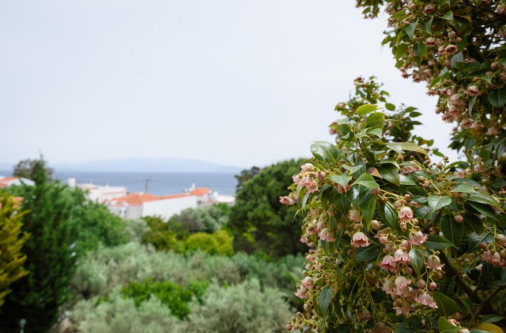Kyveli Hotel Apartments ヴロンダトス エクステリア 写真