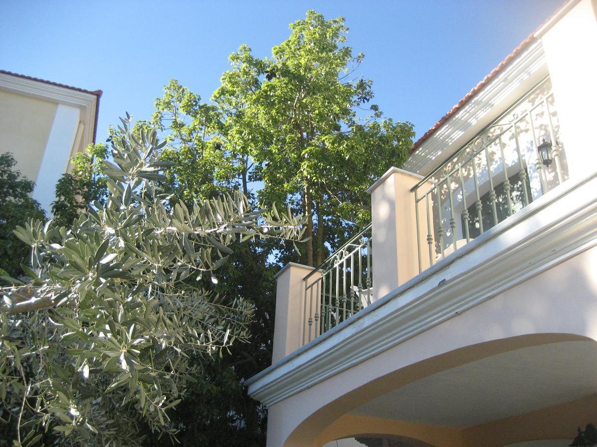 Kyveli Hotel Apartments ヴロンダトス エクステリア 写真