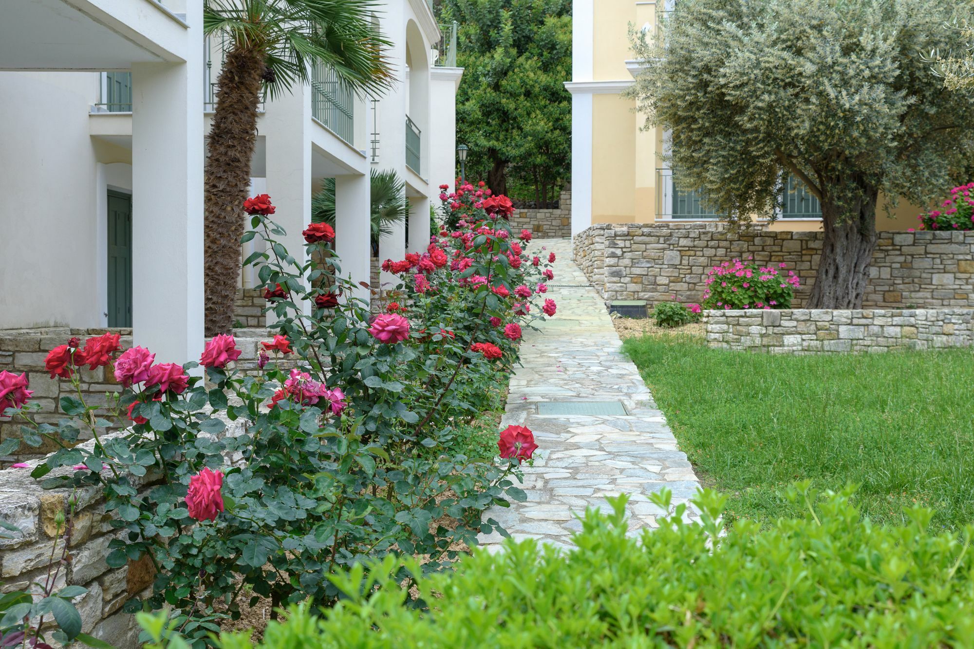 Kyveli Hotel Apartments ヴロンダトス エクステリア 写真